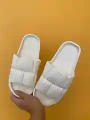 Сланцы