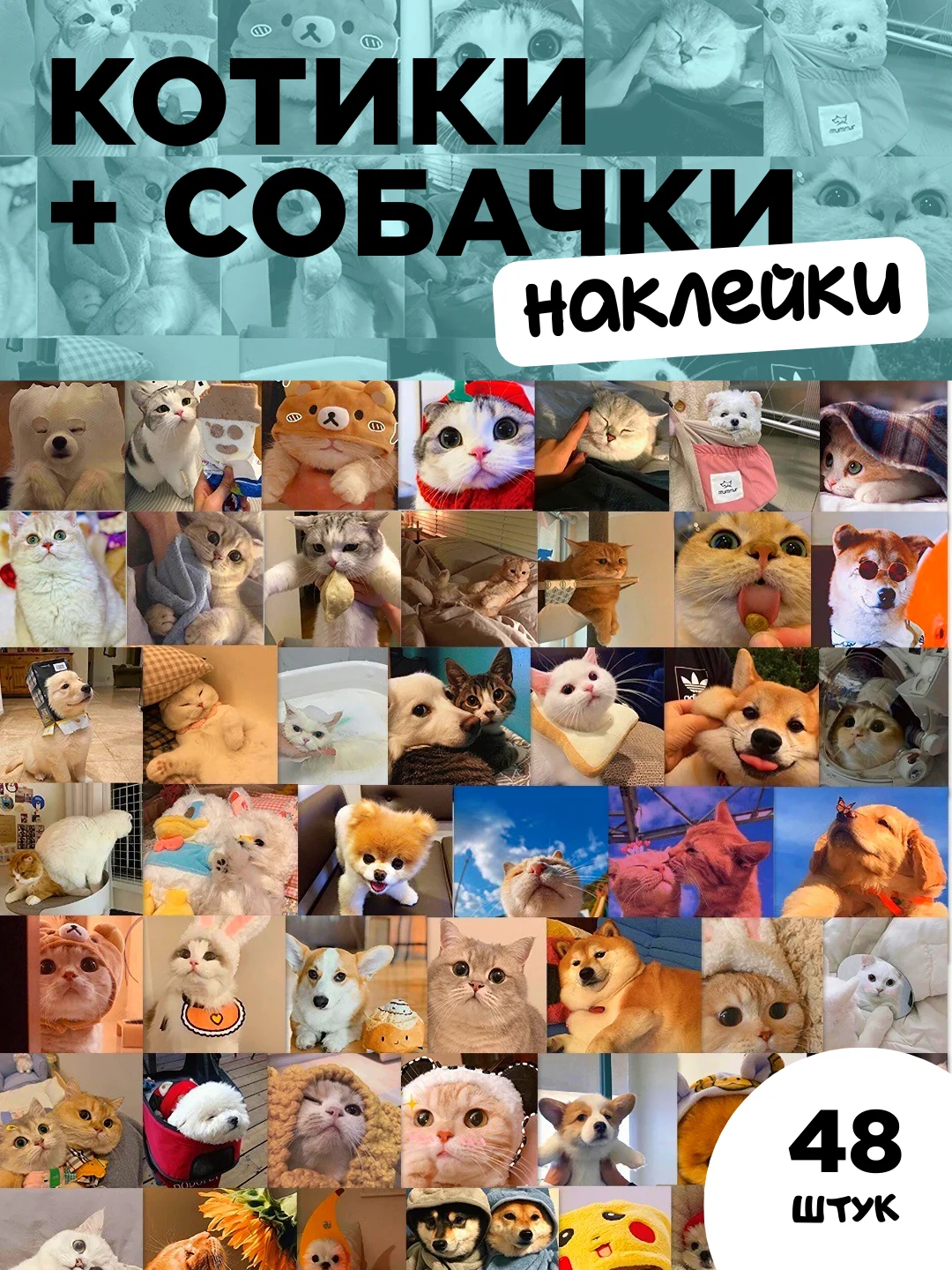 Прозрачный наклейки-стикеры "Котики и лапки котят". Стикерпак с милыми котами для девочек, мемы, таро