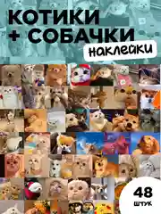 Прозрачный наклейки-стикеры "Котики и лапки котят". Стикерпак с милыми котами для девочек, мемы, таро