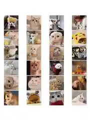 Прозрачный наклейки-стикеры "Котики и лапки котят". Стикерпак с милыми котами для девочек, мемы, таро