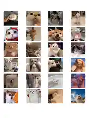 Прозрачный наклейки-стикеры "Котики и лапки котят". Стикерпак с милыми котами для девочек, мемы, таро
