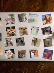 Прозрачный наклейки-стикеры "Котики и лапки котят". Стикерпак с милыми котами для девочек, мемы, таро