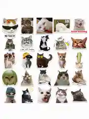 Зеленый наклейки-стикеры "Котики и лапки котят". Стикерпак с милыми котами для девочек, мемы, таро