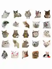 Наклейки-стикеры "Мемные коты" 50 штук. Стикерпак для девочек с лапками котят, мемы, таро