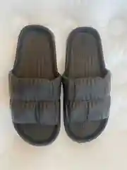 Сланцы