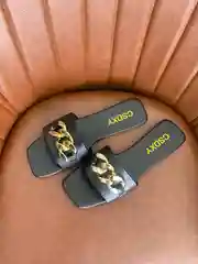 Сланцы
