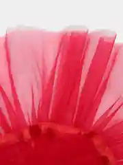 Красный воротник на шею ESCHO, съемный