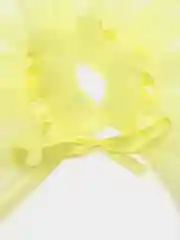 Желтый воротник на шею ESCHO, съемный