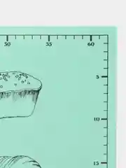 Зеленый коврик для раскатки теста с разметкой, гибкая доска для лепки