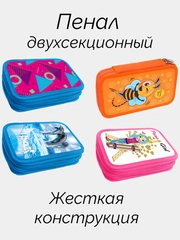 Двухсекционный пенал
