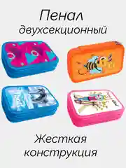 Двухсекционный пенал