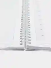Белый журнал записи клиентов