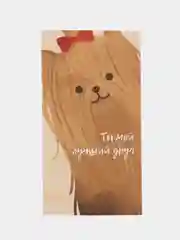 Набор открыток с питомцами