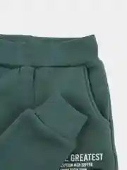 Зеленый спортивный костюм, для мальчика, утепленный, Турция