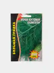 Семена Укроп Аллигатор
