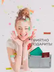 Органайзер для сумки SOFIA 28х17х10см, серый