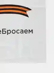 Пакет "Майка" 28х50 см "с буквой "Z", 50 шт