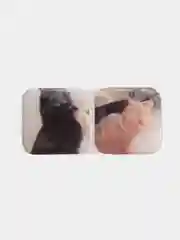 Зеленый парные 3D стикеры с котиками, парные наклейки, парные наклейки на телефон, котики, коты