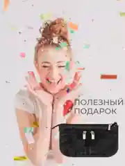 Органайзер для сумки SOFIA mini 22х13х4,5 см, 7 карманов, черный