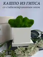 Белый кашпо из гипса со стабилизированным мхом, статуэтка для интерьера, скульптура, ангел, куб