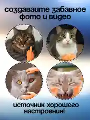 Бежевый игрушка для кошек/ щекоталки/ Маленькие ручки на палец