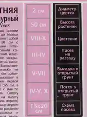 Астра Трубадур темно-пурпурный (семена,цветы)