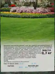 Мятлик луговой Балин 0,3 кг (семена)