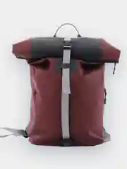 Бордовый герморюкзак Dragonfly Fold Bag, водонепроницаемый