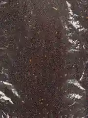 Рапс яровой