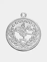 Серый пришивные монеты