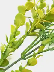 Зелёный хаки искусственные цветы