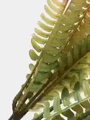 Золотой искусственные цветы