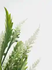 Индиго искусственные цветы