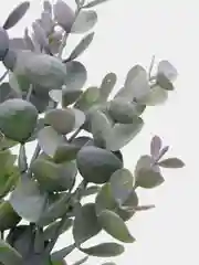 Карамельный искусственные цветы