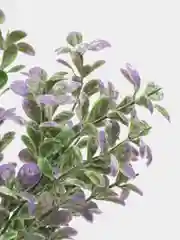 Конфетный искусственные цветы
