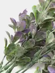 Конфетный искусственные цветы