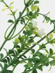 Коралловый искусственные цветы
