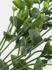 Кораллово-розовый искусственные цветы
