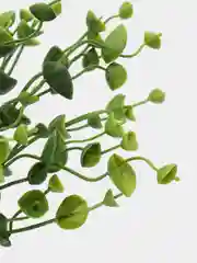 Кораллово-розовый искусственные цветы