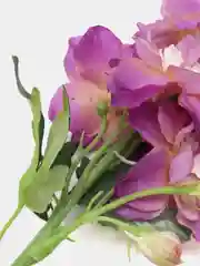 Багровый искусственные цветы