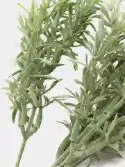 Белый искусственные цветы