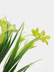 Бордовый искусственные цветы