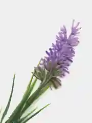 Вишнёвый искусственные цветы