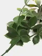 Зеленый искусственные цветы