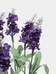 Вишнёвый искусственные цветы