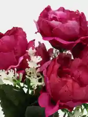 Багровый искусственные цветы: пионы, розы, осока, растения, зелень