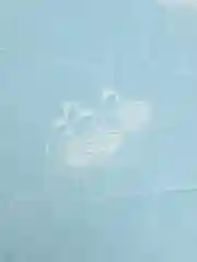 Одеяло 1,5 спальное/ 2 спальное/ евро облегченное с наполнителем лебяжий пух.Одеяло летнее