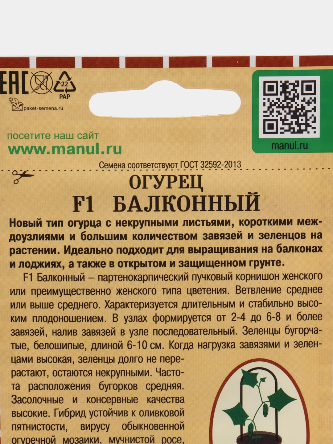 Зеленый семена Огурец Балконный "Хрустик", на окно, самоопыляемые, раннеспелые