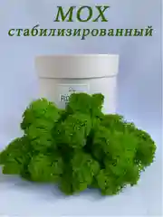 Мох стабилизированный для декора,кашпо