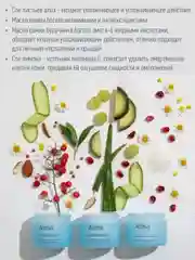 ALMA K Hydrating Day Cream Крем дневной для нормальной и комбинированной кожи, 50 мл